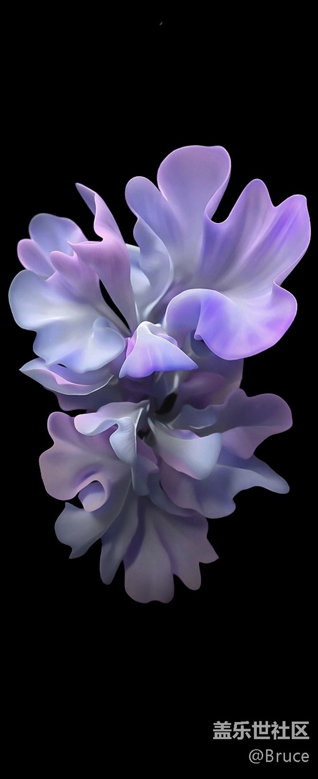 Galaxy Z Flip 自帶壁紙