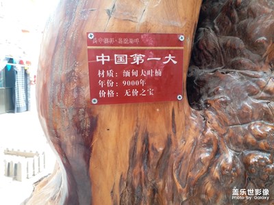 無(wú)價(jià)之寶