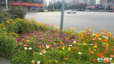 身邊的景色+日常生活