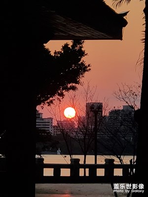 太陽(yáng)
