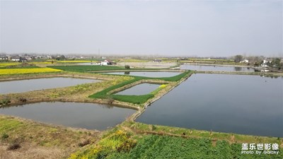 【給最想見的你】+在湖北的日子