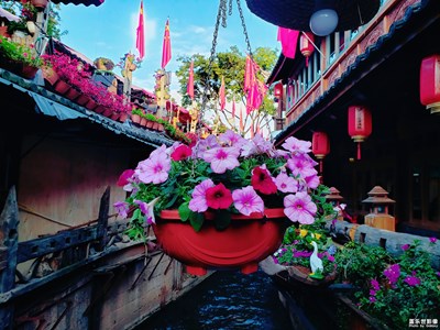 【給最想見(jiàn)的你】+美麗的地方