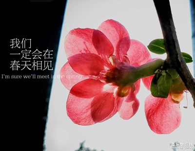 【給最想見的你】+和春天的約會