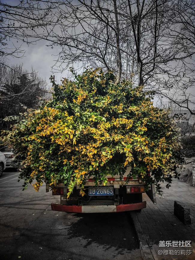 再換S20之前細數這一年S10的攝影作品