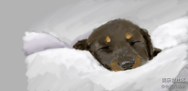 閑來無事畫的，貓狗不分家……