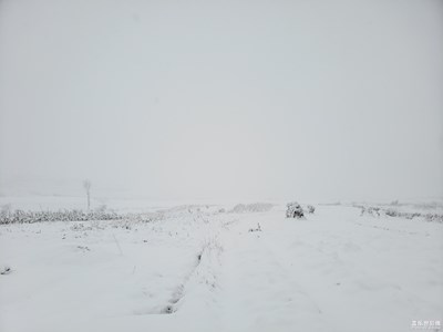 多年一遇的家鄉(xiāng)雪景