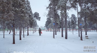 GalaxyS10+ 春雪（一）