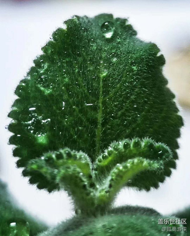 已開(kāi)獎(jiǎng)2月第4期fold板塊活動(dòng)——遇上春天