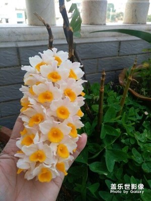 春天來(lái)了