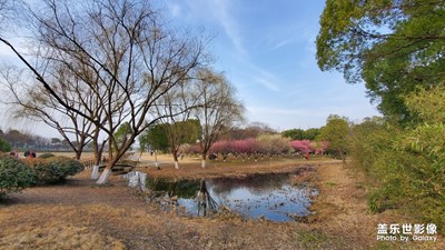 難得覓春色
