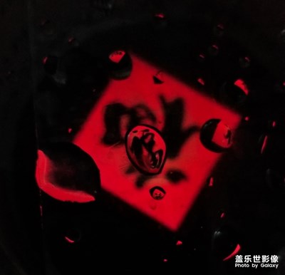 隨拍