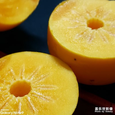 素食主義者