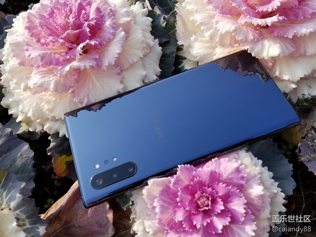 今天終于可以出去放風(fēng)了