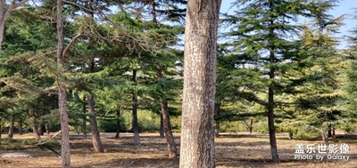 s10