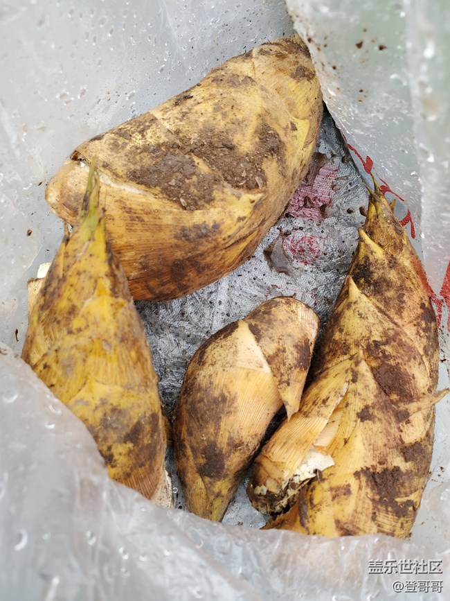 【登哥美食】簡(jiǎn)單粗暴冬筍炒湘西臘肉