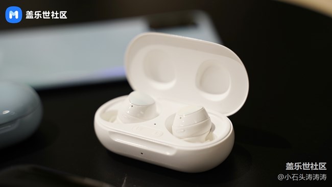 沉浸其間的體驗 三星Galaxy Buds+外觀賞析 沉浸其間的體驗 三星Galaxy Buds+外觀賞析