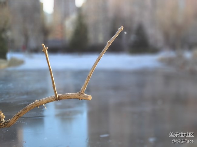 一個比一個強悍 三星Galaxy S20系列全面評測