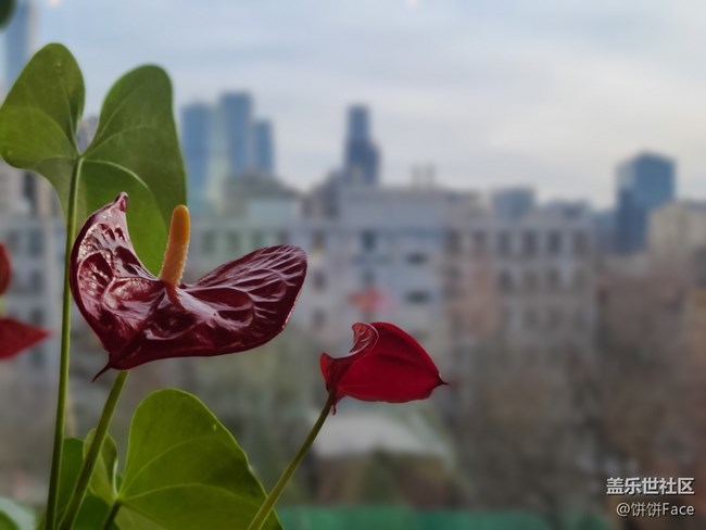 一個比一個強悍 三星Galaxy S20系列全面評測