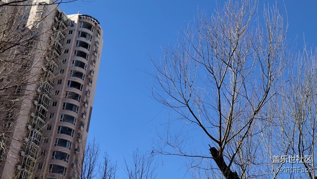 一個比一個強悍 三星Galaxy S20系列全面評測