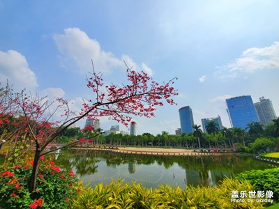 南湖公園春色