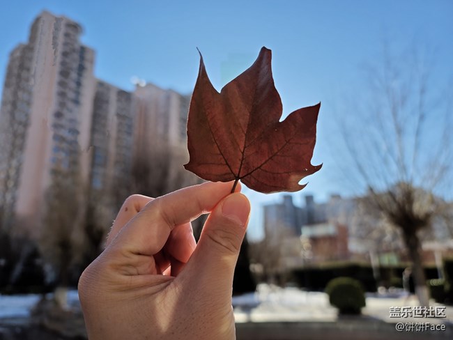 一個比一個強悍 三星Galaxy S20系列全面評測