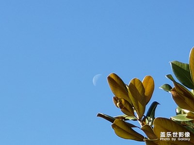 藍(lán)天下的月亮