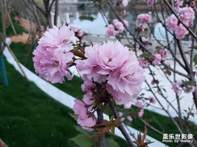 散步隨拍
