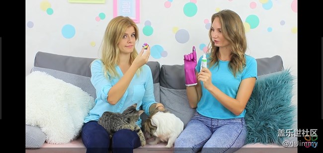 已開獎【寵物活動第十七期】和寵物生活的竅門