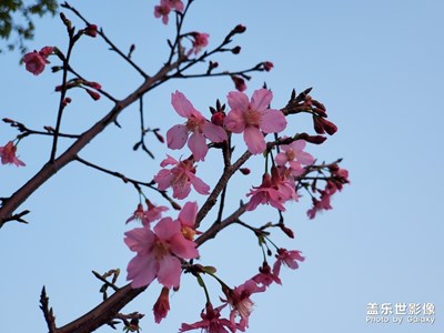 好天氣，出來(lái)走走