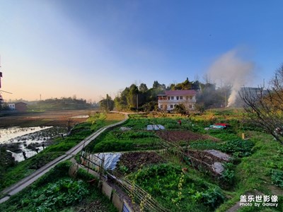 田園隨拍