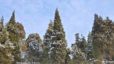 GalaxyS10+ 春雪（二）