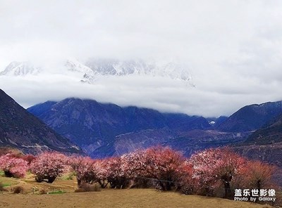 雅魯藏布峽谷風光（2）