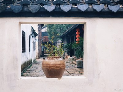 【古韻梅花洲】