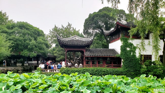 【每周星鮮事】第21期：快來分享一波宅家食譜吧！