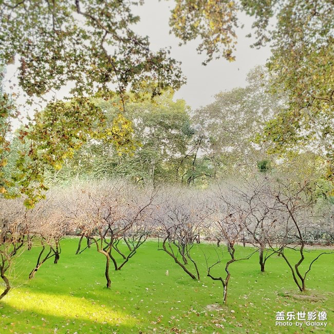 【每周星鮮事】第21期：快來分享一波宅家食譜吧！