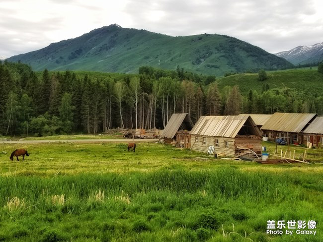 【每周星鮮事】第21期：快來分享一波宅家食譜吧！