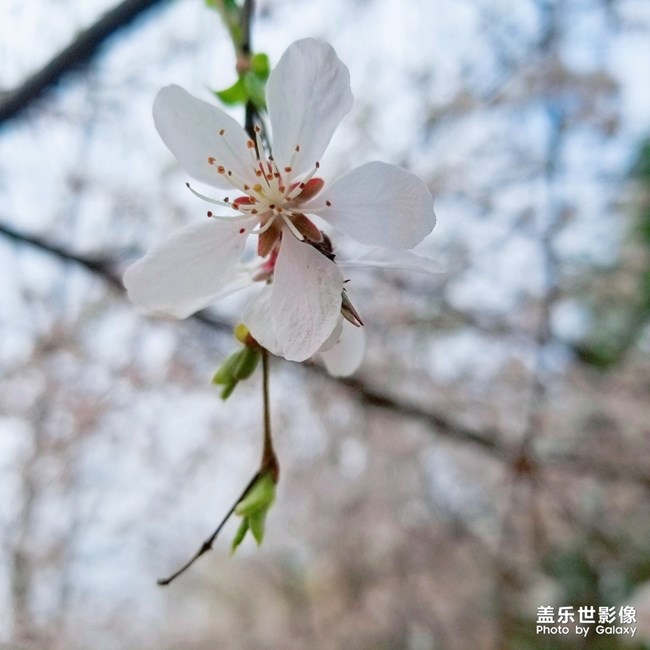 【每周星鮮事】第21期：快來分享一波宅家食譜吧！