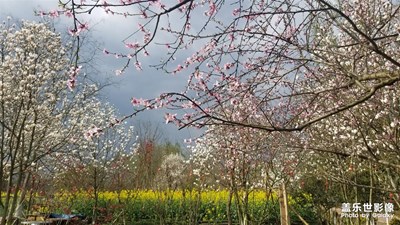 河邊騎行 沉醉在三月的春風(fēng)中