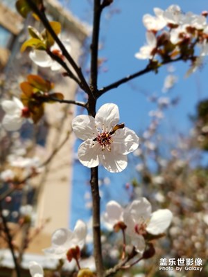 春暖花開