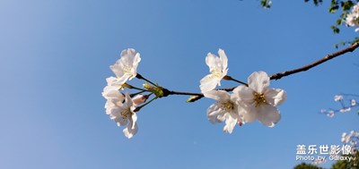 有春風拂面的溫柔，有美好故事的發(fā)生