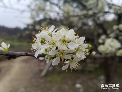 春暖花開