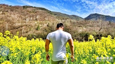 春已至，花已開
