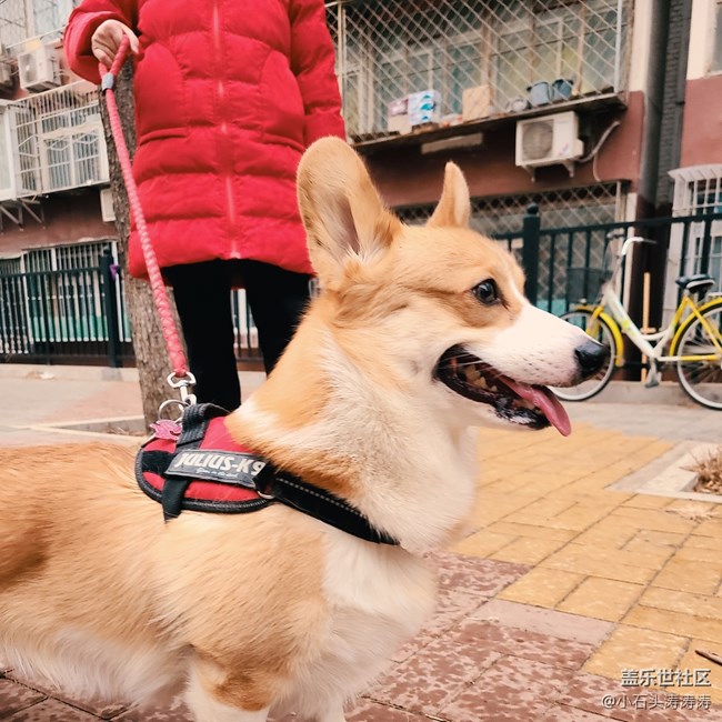 三星Galaxy S20系列 「AI一鍵多拍」功能 了解一下