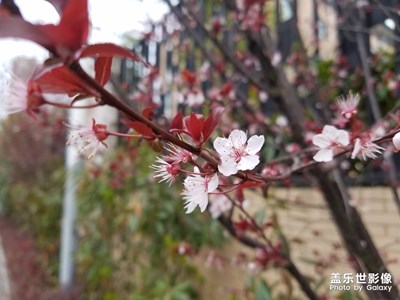 【上下班的路上】+來也匆匆，去也匆匆