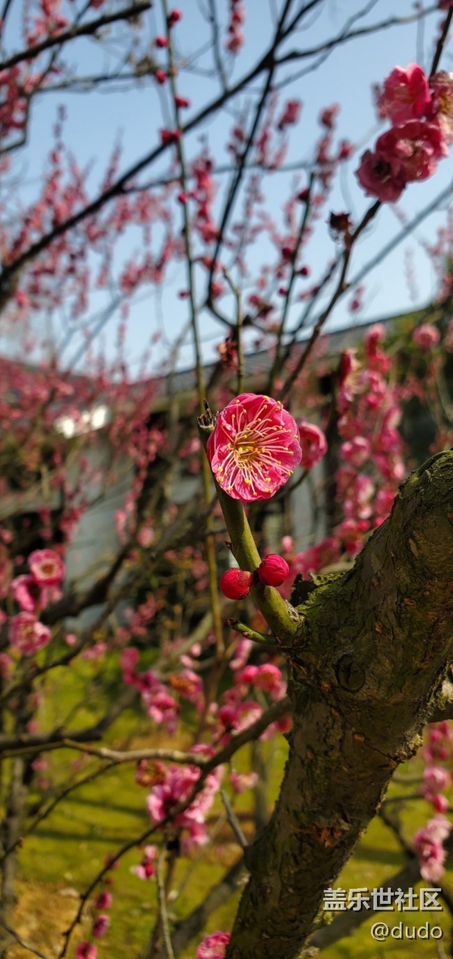 春天來了~~~~~~~~~~~~
