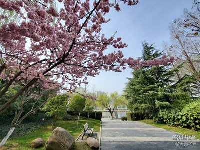 三星note10+拍攝春天的腳步。公園一角