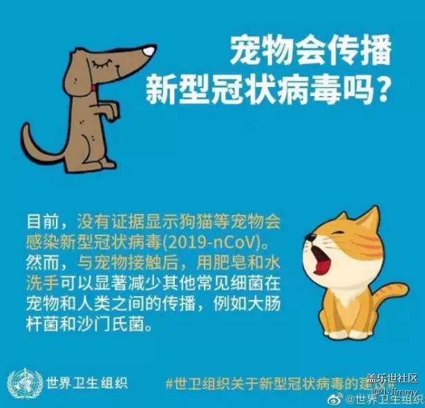 【寵物知識123】善待生命，善待我們的主子們