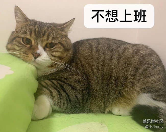 已開獎【寵物活動第十九期】請問，你家主子是戲精么？