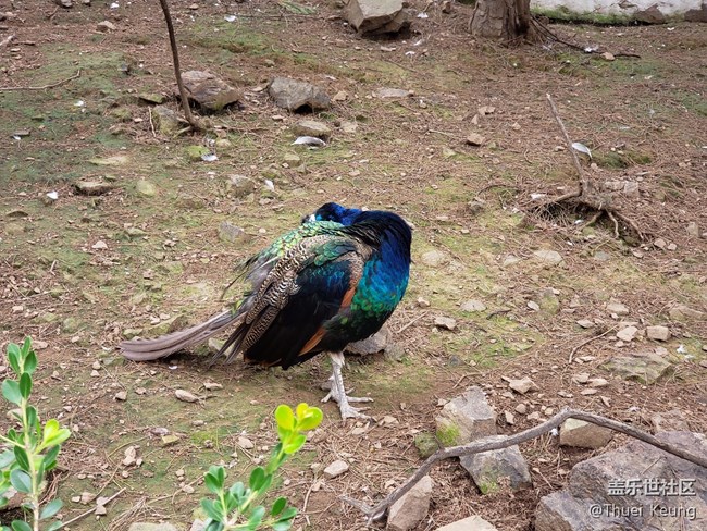 動(dòng)物園隨拍