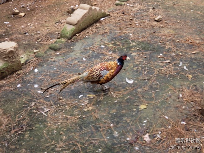 動(dòng)物園隨拍